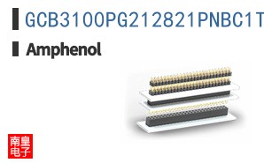 GCB3100PG212821PNBC1T2