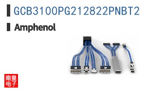 GCB3100PG212822PNBT2