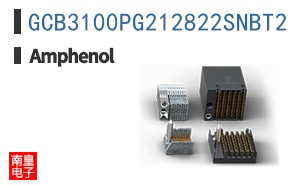 GCB3100PG212822SNBT2
