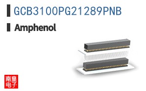 GCB3100PG21289PNB