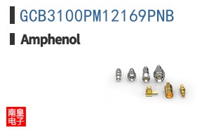 GCB3100PM12169PNB