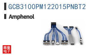GCB3100PM122015PNBT2
