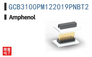 GCB3100PM122019PNBT2