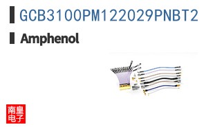 GCB3100PM122029PNBT2