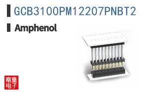 GCB3100PM12207PNBT2