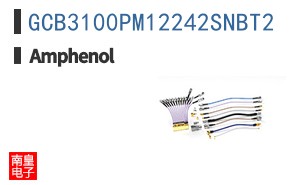 GCB3100PM12242SNBT2