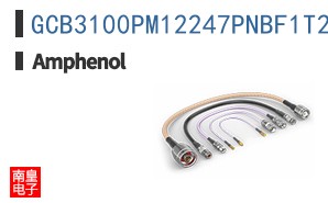 GCB3100PM12247PNBF1T2