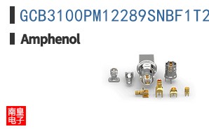 GCB3100PM12289SNBF1T2