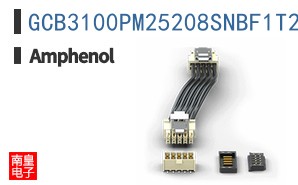 GCB3100PM25208SNBF1T2