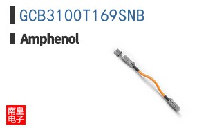 GCB3100T169SNB