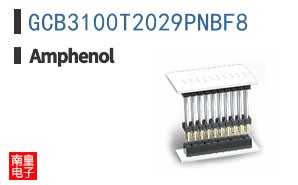 GCB3100T2029PNBF8
