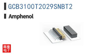 GCB3100T2029SNBT2