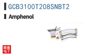 GCB3100T208SNBT2