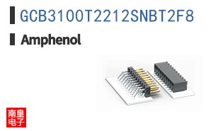GCB3100T2212SNBT2F8