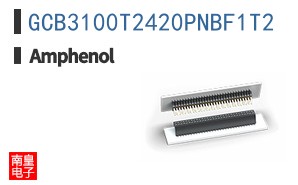 GCB3100T2420PNBF1T2