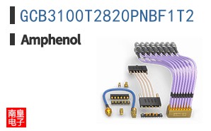 GCB3100T2820PNBF1T2
