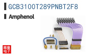 GCB3100T289PNBT2F8