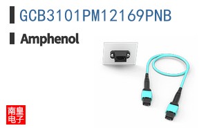 GCB3101PM12169PNB