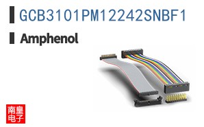 GCB3101PM12242SNBF1