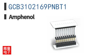 GCB3102169PNBT1
