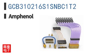 GCB310216S1SNBC1T2