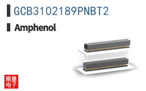 GCB3102189PNBT2