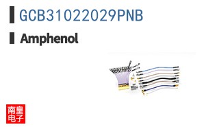 GCB31022029PNB