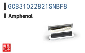 GCB31022821SNBF8