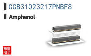 GCB31023217PNBF8