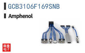 GCB3106F169SNB