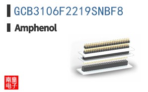 GCB3106F2219SNBF8