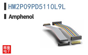 HM2P09PD5110L9L