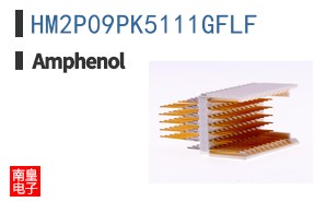 HM2P09PK5111GFLF