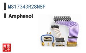 MS17343R28N8P