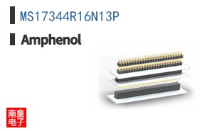MS17344R16N13P