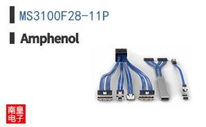 MS3100F28-11P