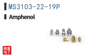 MS3103-22-19P