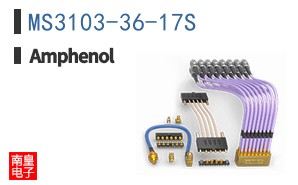MS3103-36-17S