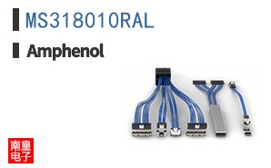 MS318010RAL