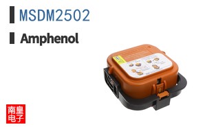 MSDM2502