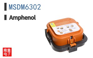 MSDM6302
