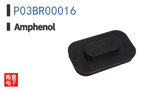 P03BR00016