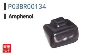 P03BR00134