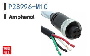 P28996-M10