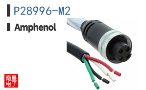 P28996-M2