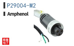 P29004-M2