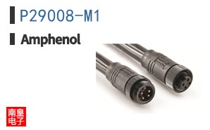 P29008-M1