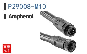 P29008-M10