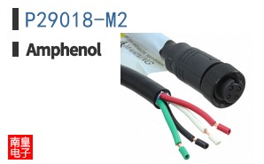 P29018-M2