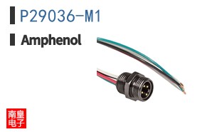 P29036-M1